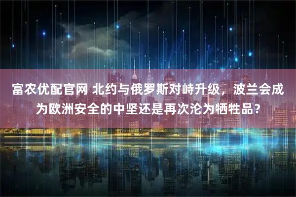 富农优配官网 北约与俄罗斯对峙升级，波兰会成为欧洲安全的中坚还是再次沦为牺牲品？