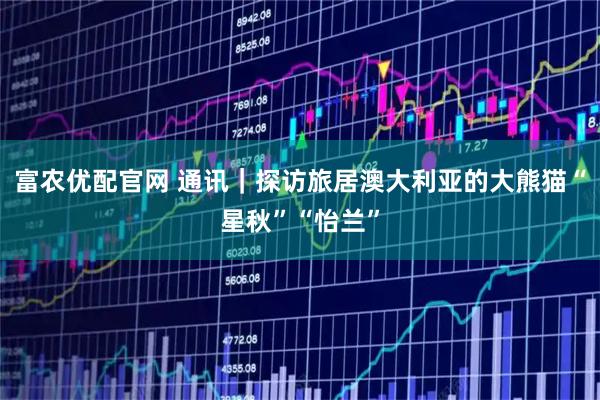 富农优配官网 通讯｜探访旅居澳大利亚的大熊猫“星秋”“怡兰”