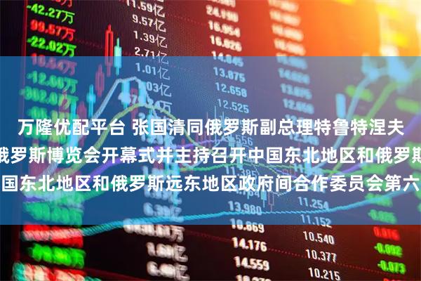 万隆优配平台 张国清同俄罗斯副总理特鲁特涅夫共同出席第十届中国－俄罗斯博览会开幕式并主持召开中国东北地区和俄罗斯远东地区政府间合作委员会第六次会议