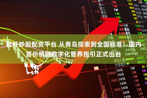 杠杆炒股配资平台 从青岛探索到全国标准！国内首份桥隧数字化管养指引正式出台